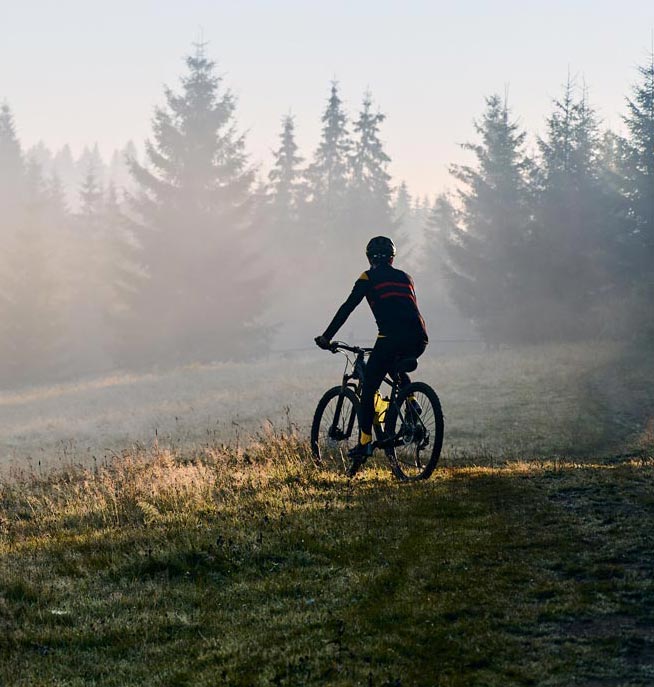 Cycliste en forêt (format mobile)